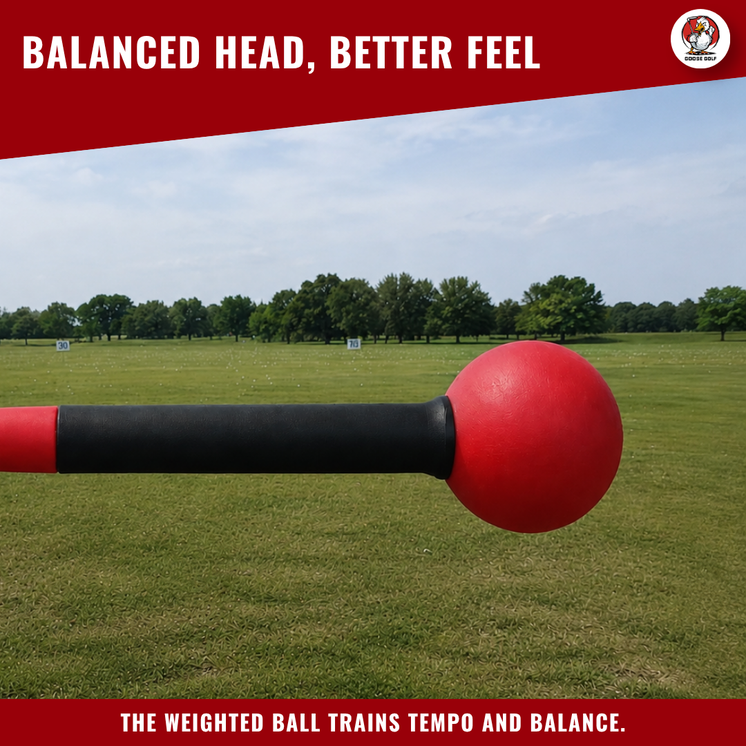 Swing Trainer